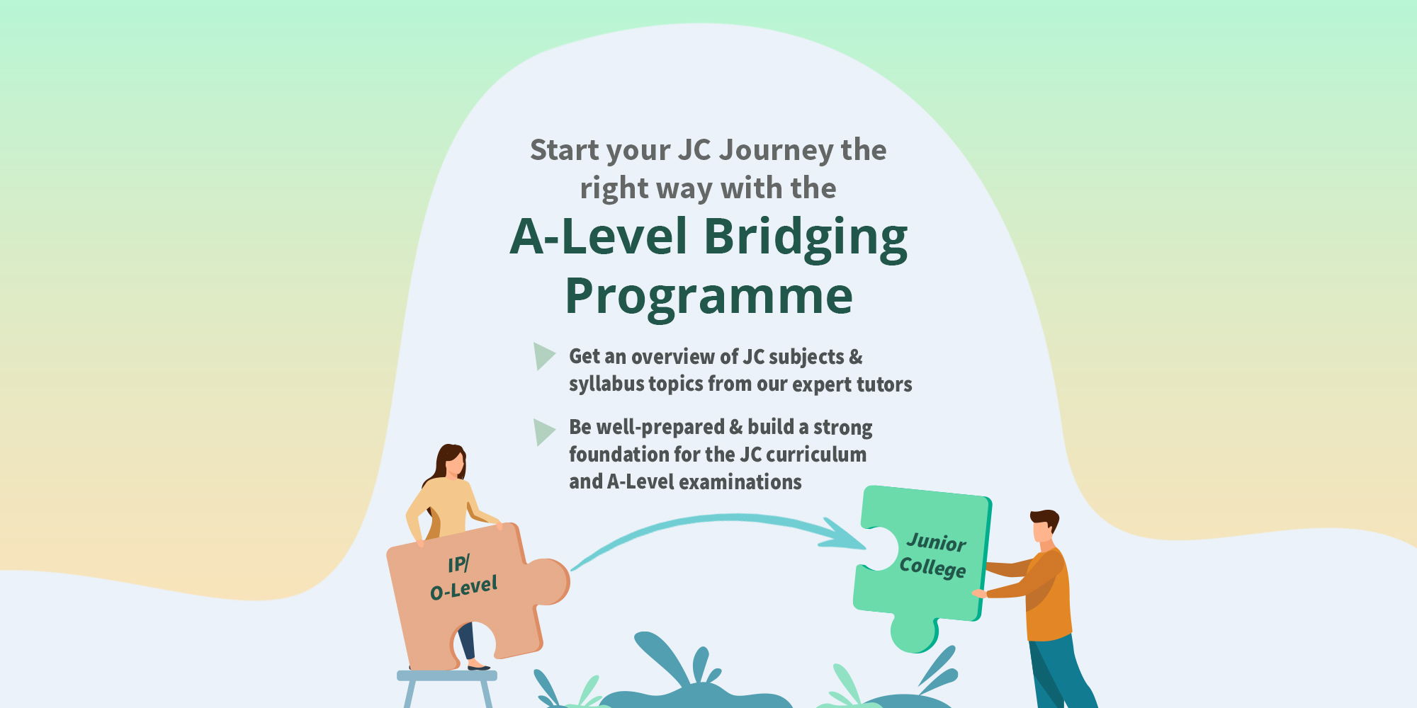 bridging programme